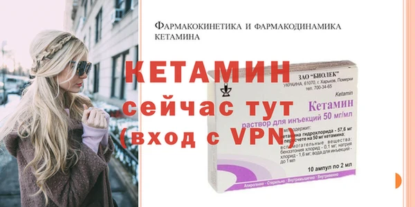 шишки Покачи