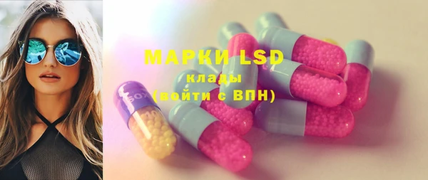 шишки Покачи