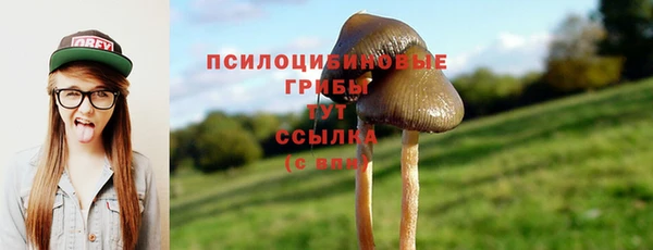 бошки Покров