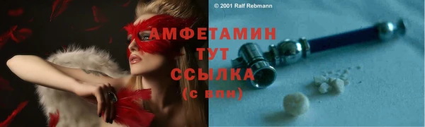 шишки Покачи