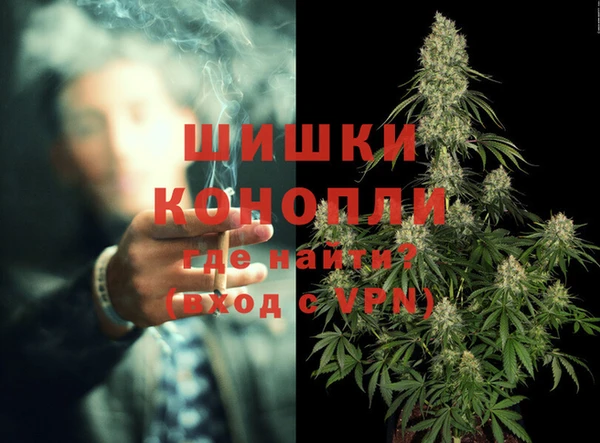 шишки Покачи