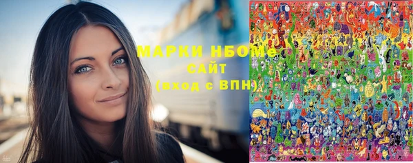 шишки Покачи