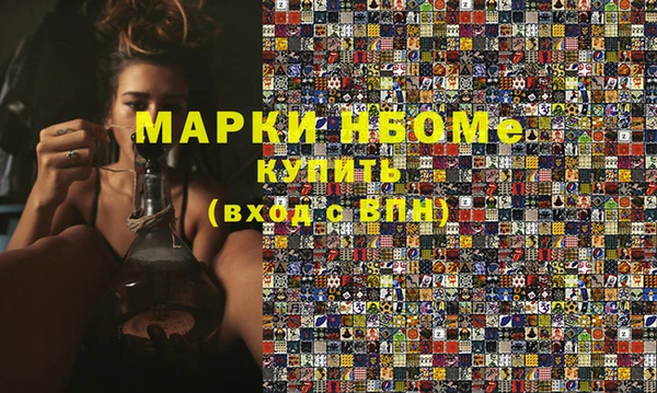 шишки Покачи